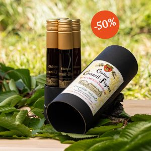 La Petite Verticale  <br> Château Cormeil-Figeac 2012, 2016, 2018, 2021