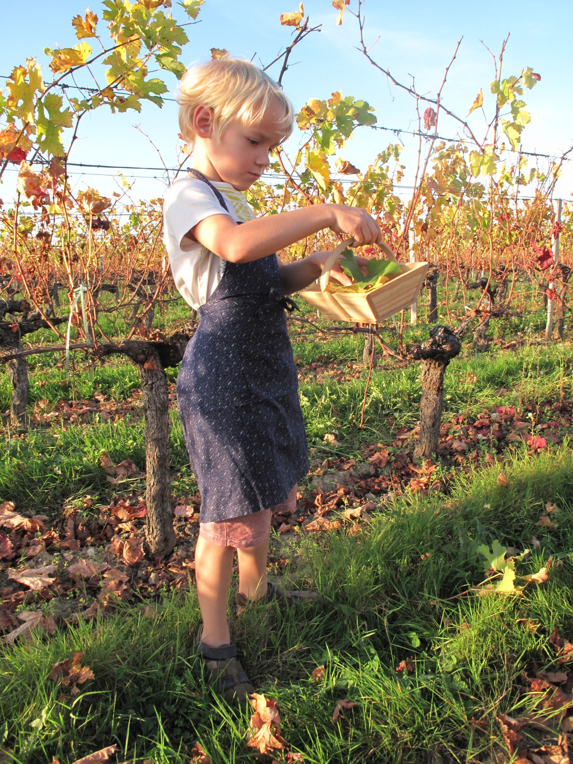 Les apprenti.e.s vigneron.ne.s