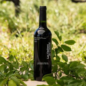 Les Ombres de Cormeil 2022