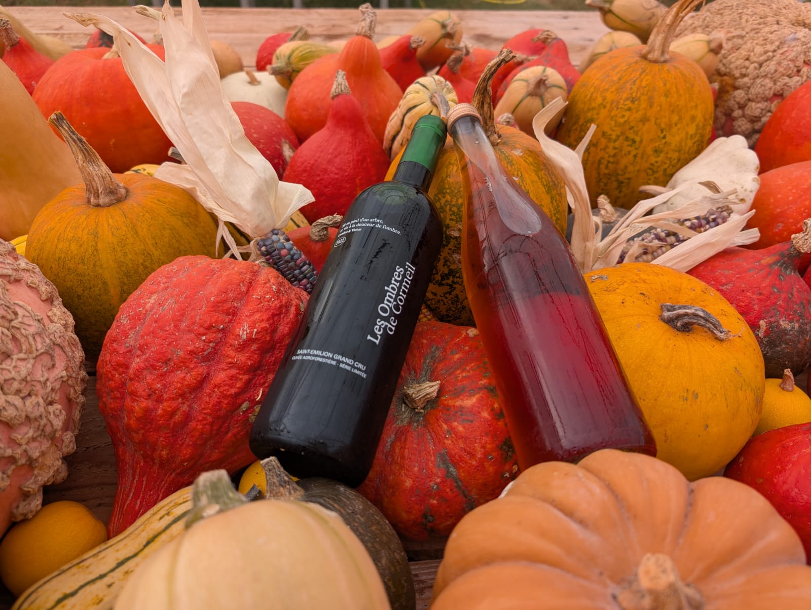 Toussaint aux Joualles